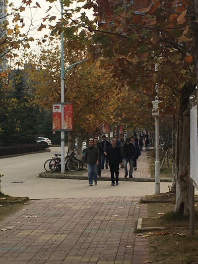 古天乐太阳娱乐集团tyc493